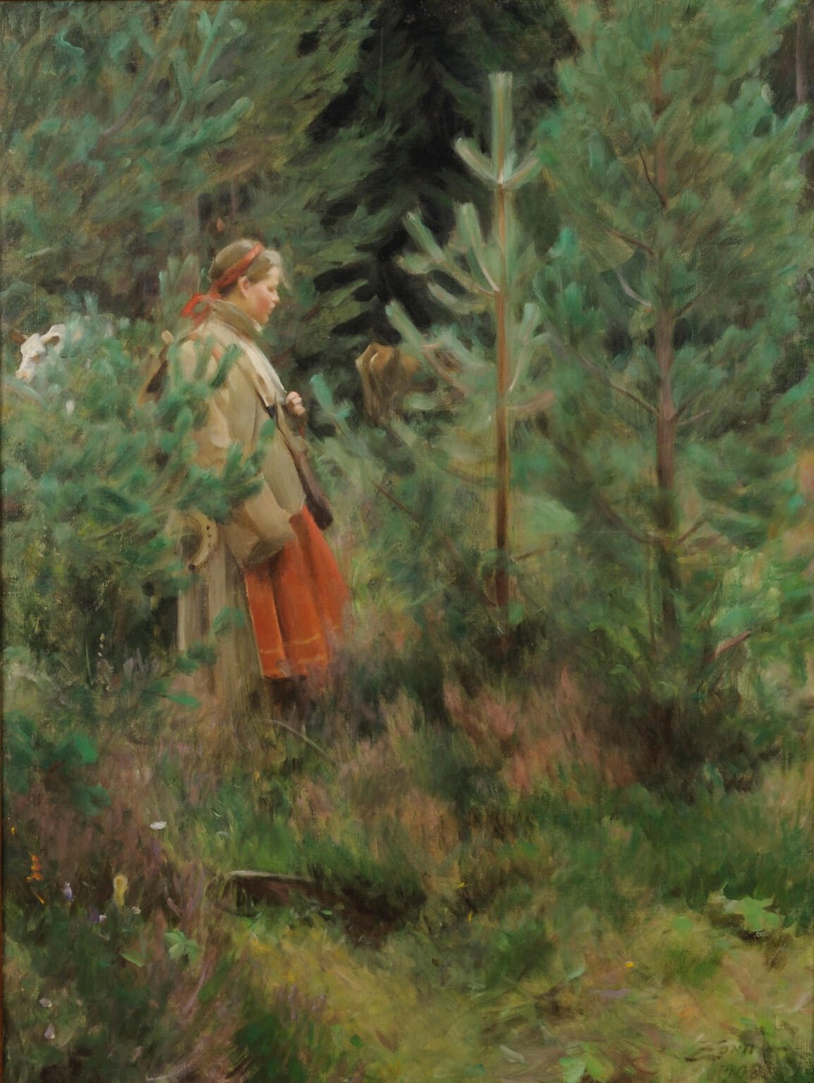 zorn